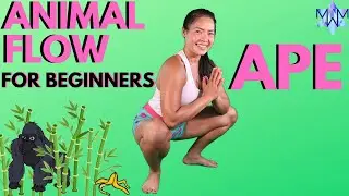 ANIMAL FLOW for Beginners: APE