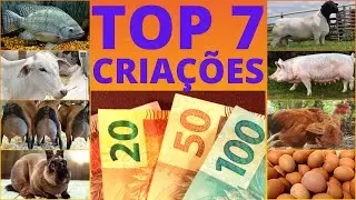 TOP 7 MOST PROFITABLE CREATIONS in ROÇA. Invest with your eyes closed!