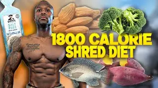 1800 CALORIE SHRED DIET (FAT LOSS) - FULL DAY OF EATING | ARM WORKOUT 