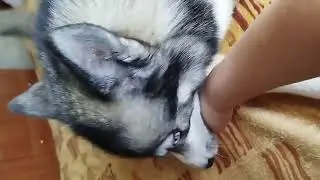Реюшка выздоравливает. Смотрите сами.