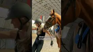 Зато зарядка не нужна😎 #лошади #horses #equestrian #конкур #equestrianlife