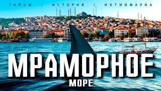 ТАЙНЫ МРАМОРНОГО МОРЯ! Опасные Морские Обитатели Турции!