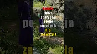 Nie udało się z percepcją? Nie szkodzi – weź łopatę! #shorts
