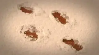 Elf Donuts and Footprints