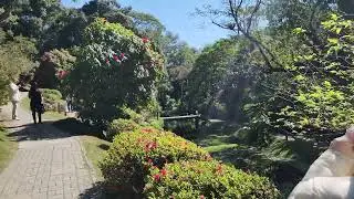[Ep. 9] - Parque Amantikir - Gramado - São Paulo - Ago 2023