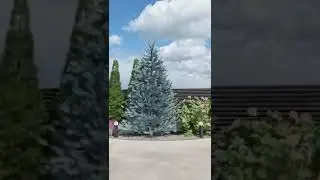 Как вам такой задний двор загородного дома #shorts #заднийдвор