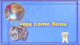 Como fazer ensaio fotográfico em do seu pet em casa com celular