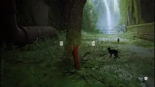 Stray and scratch