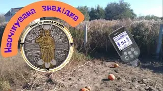 Неочікувана знахідка. Коп з Nokta makro simplex + (нокта макро сімплекс плюс)