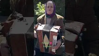 #гармонь