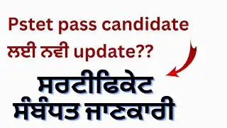 pstet 2023 big update | pstet certificate update notifications | pstet exam preparation