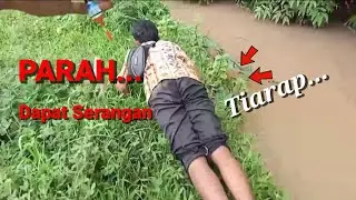 KATA MAS GONDRONG LABANAN !!!1,2,3,4,5~ANAK SUNGAI KERUH