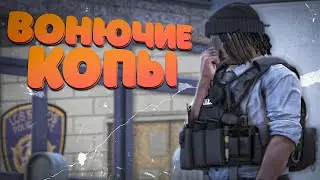 ЭТИ КОПЫ ПОЗВОЛЯЮТ СЕБЕ СЛИШКОМ МНОГО В ГТА 5 РП | GTA 5 RP ALTA