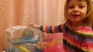 mouse. Белые мышки. Кормим белых мышей.