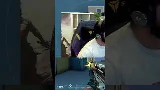 STUPID FISH 🤣 #scream #valorantclips #valorant