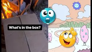 What's in the box?
