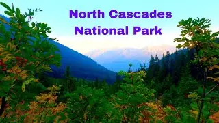 Hiking to Easy Pass (Best Hikes in North Cascades National Park) | Hiking | Backpacking