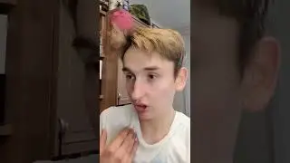и так всегда