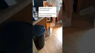 Ты не ты когда голоден 