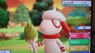 Pokemon BDSP How To Get Smeargle