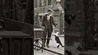 Disappeared professions | Cat 