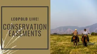 Leopold Live: Conservation Easements
