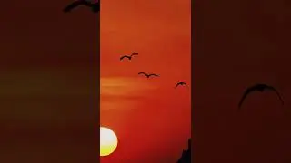 Hale Dill Kis Ko Sunaie Ap K Hotay Huay #natt #nattshareef #haledilkiskosunayedjnaatstatus