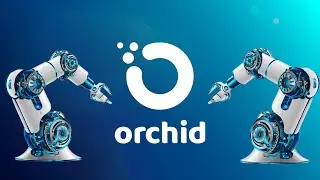 What is Orchid? -  OXT Explained 
