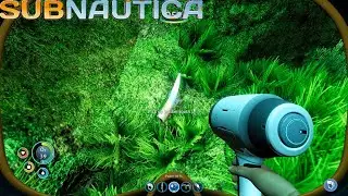 Subnautica How to find Stalker Teeth