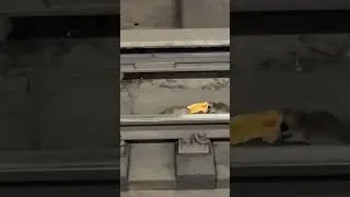 На случай важных переговоров: мы...?) 👉👈 (NewТикток мем)