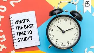 What's The Best Time To Study?