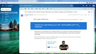 Solving Problem in Your Site Before Reapplying Google Adsense