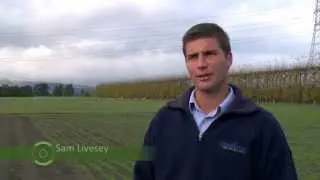 KiwiNet Awards 2013 Finalist: Grasslanz Technology Ltd - Innovative Plant Technology