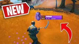 THERE IS NO WAY FORTNITE ADDED THIS...