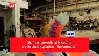 Meet The Roommates: A science art installation, at NYSCI!