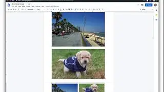 Google Docs Image Viewer chrome extension demo