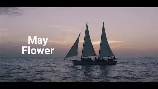 Реклама телеграмм - канала Май Флавер.