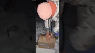 длиннохвостая неясыть очень быстро выпускается и не хочет сниматься