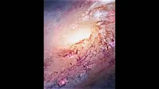 Luffy - One Piece [AMV/EDIT] 😂