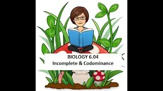 BIO 6.04 Incomplete and Codominance