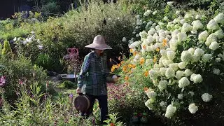 Daily life in a Korean countryside house on a hot summer day~!!