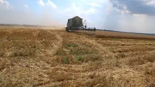 Убегаем с поля. Без паники, это еще не конец. Дневник уборки зерновых 2021. Часть 4