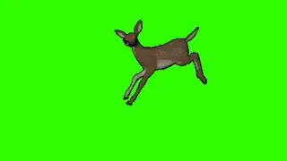Green Screen Animation - 3D Deer Running (COPYRIGHT FREE)