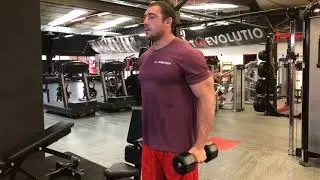 Biceps marteau haltères