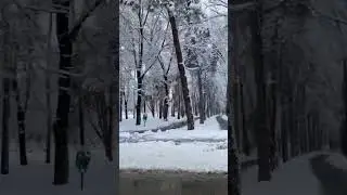 21 января 2024 г.
