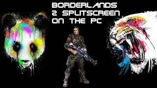 How to Play Borderlands Split Screen on PC