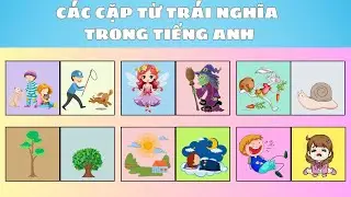 ↔️ Dạy Bé Học Tiếng Anh: Các Cặp Từ Trái Nghĩa | Opposite Words for Kids 🧸 | Oh Vui Kids