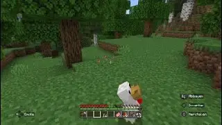 Minecraft