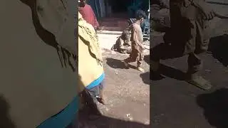 خيرات نه ملڻ سبب فقيرن به ٻنڻ جو انداز احتجاجي بڻائي ڇڏيو ۔
