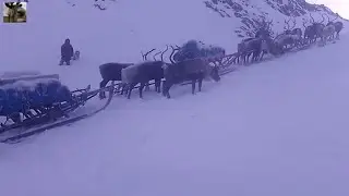 Каслание через горы / Полярный Урал / Пайер